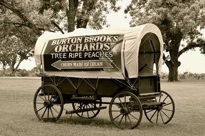 Burton Brooks Orchards Visit